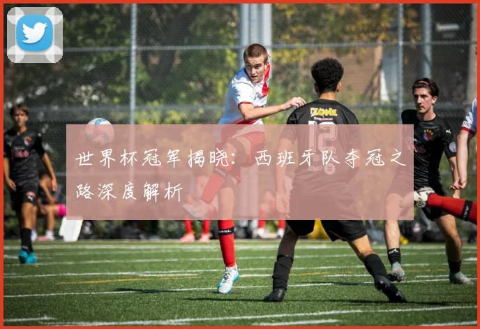世界杯冠军揭晓：西班牙队夺冠之路深度解析