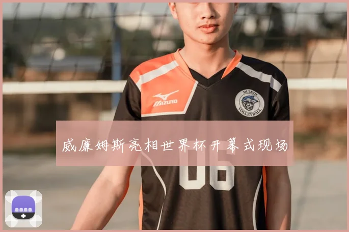 威廉姆斯亮相世界杯开幕式现场
