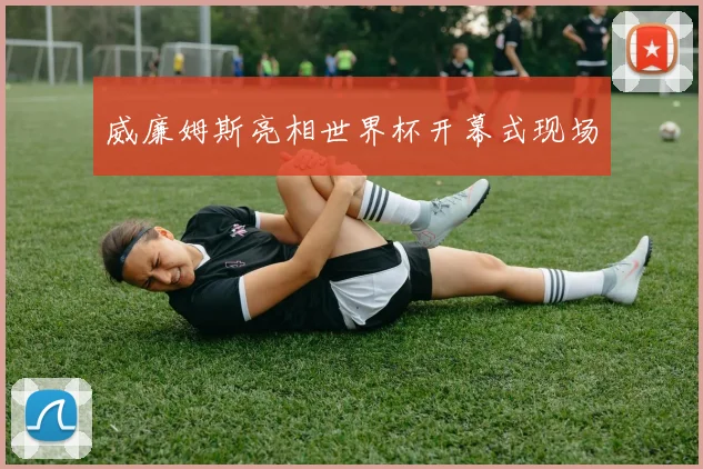 威廉姆斯亮相世界杯开幕式现场