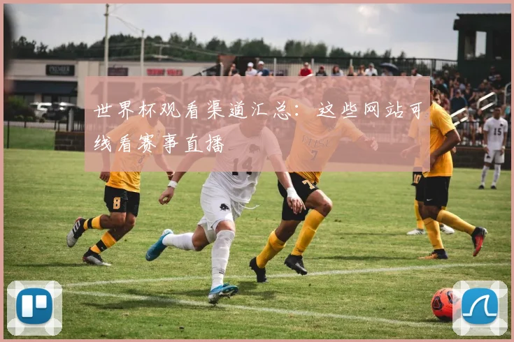 世界杯观看渠道汇总：这些网站可线看赛事直播