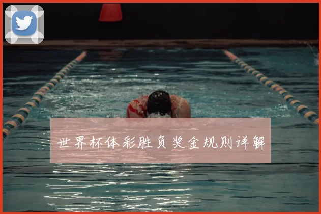 世界杯体彩胜负奖金规则详解