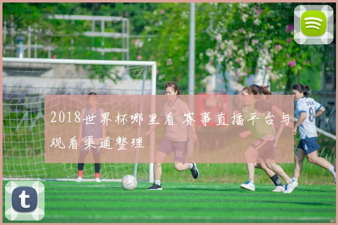 2018世界杯哪里看 赛事直播平台与观看渠道整理